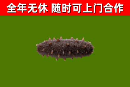 寻甸烟酒回收干海参.jpg